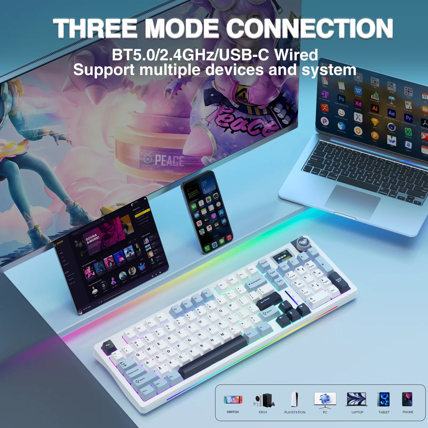Wireless Mechanical Keyboard Gasket Hot-swap Gaming Keyboard