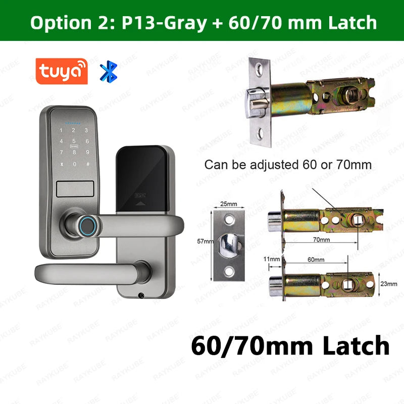 Smart Biometric Fingerprint Door Lock Electronic Lock Tuya App Set