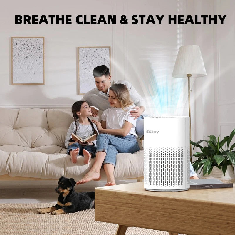 Air Purifier H13 True HEPA Filter for Home Allergies and Pets Hair, Smokers in Bedroom