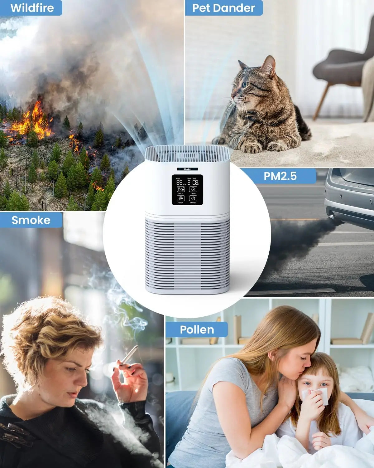 2 in 1 Air Purifier for Home Allergies Pets, Odor Eliminators,