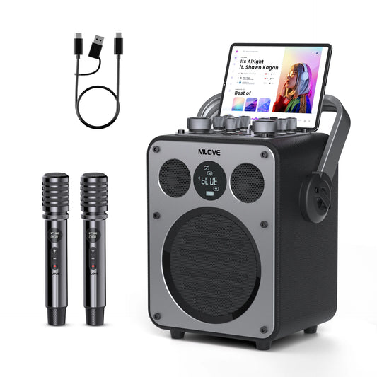 Professional Karaoke Machine for Adults with Bluetooth
