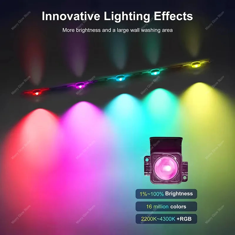 Smart Permanent Outdoor Lights For House Smart RGB+IC Eave Lights with Remote APP Control