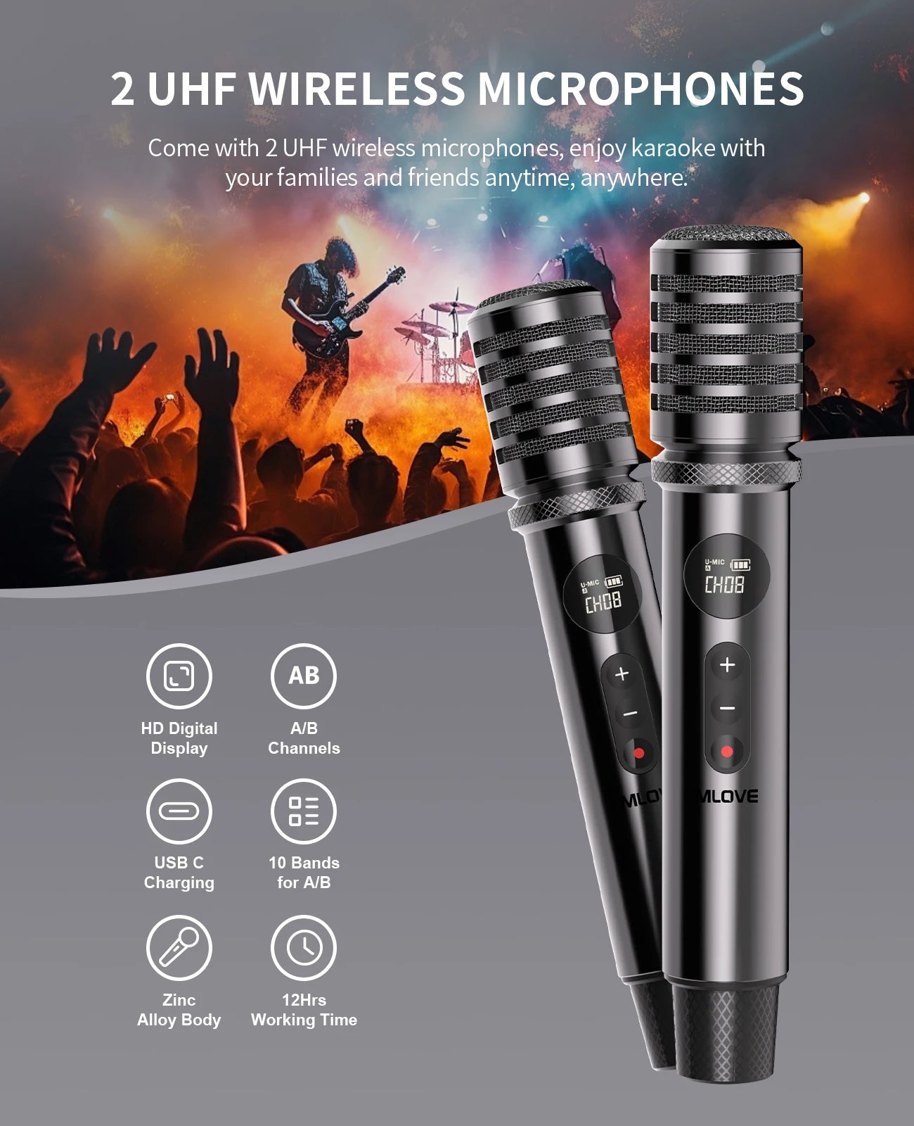 Professional Karaoke Machine for Adults with Bluetooth