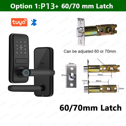 Smart Biometric Fingerprint Door Lock Electronic Lock Tuya App Set
