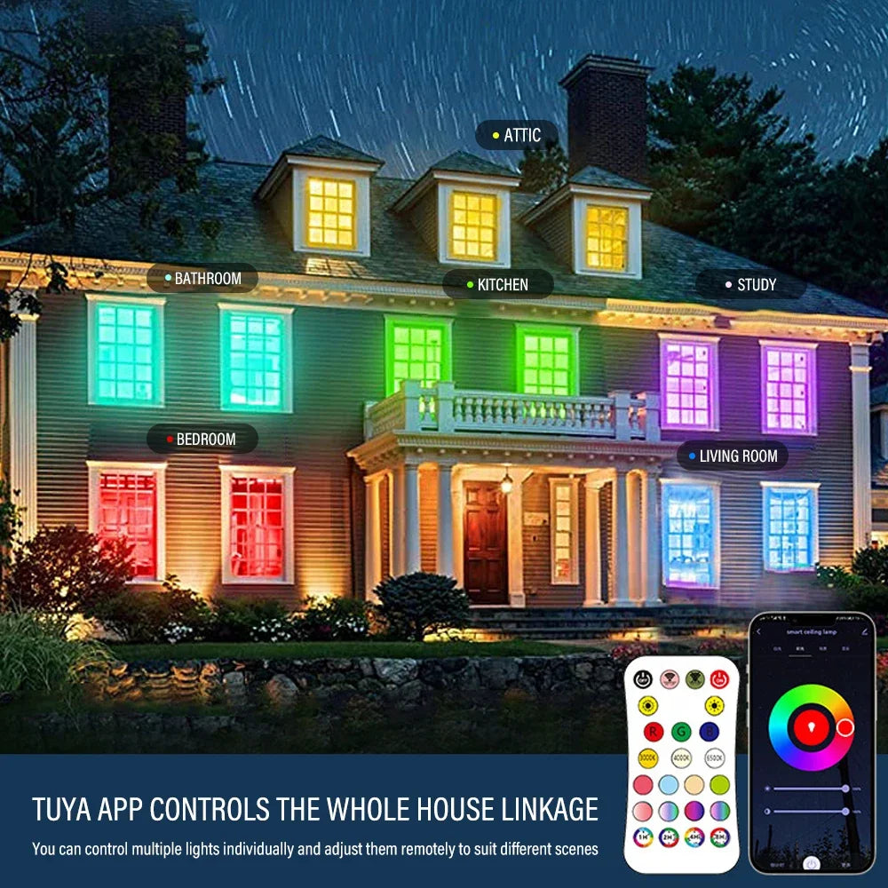 Smart WIFI LED Round Ceiling Light , Alexa Google Assistant