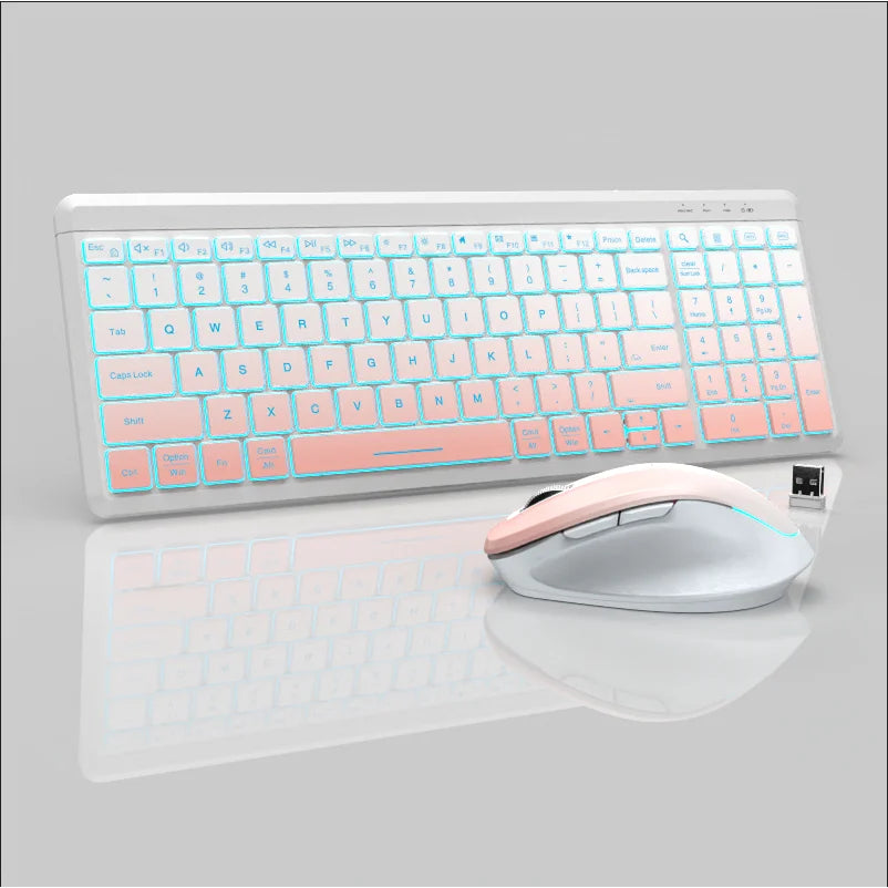 Jomaa RGB Backlit Silent Wireless Keyboard and Mouse Combo 2.4G Dual Mode Rechargeable Wireless Keyboard Mouse set for Desktop/L